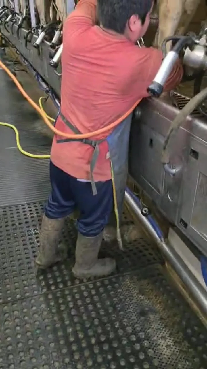 Imagen Servicio